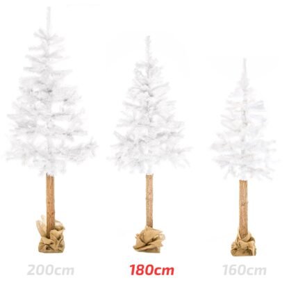 xr:d:DAFznQZcl5Y:7,j:6192858118510910681,t:23110905